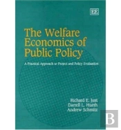 The Welfare Economics Of Public Policy