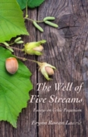 The Well Of Five Streams