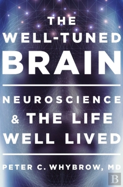 Bertrand.pt - The Well-Tuned Brain