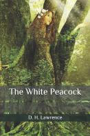 The White Peacock