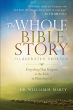 Bertrand.pt - The Whole Bible Story Â€“ Everything That Happens In The Bible In Plain English
