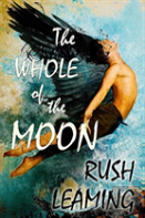 The Whole Of The Moon