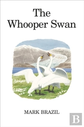 The Whooper Swan