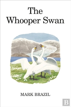 Bertrand.pt - The Whooper Swan