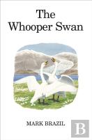The Whooper Swan