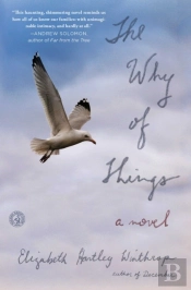 The Why Of Things
