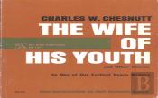 The Wife Of His Youth And Other Stories
