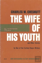 The Wife Of His Youth And Other Stories