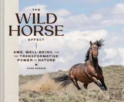 Bertrand.pt - The Wild Horse Effect