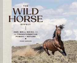Bertrand.pt - The Wild Horse Effect