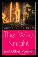 ''The Wild Knight And Other Poems Illustrated''