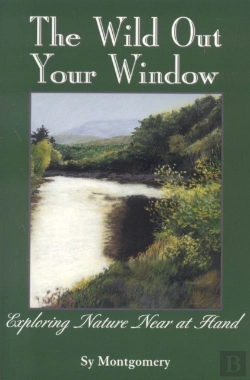 Bertrand.pt - The Wild Out Your Window