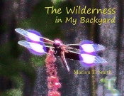 The Wilderness In My Backyard