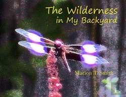 Bertrand.pt - The Wilderness In My Backyard