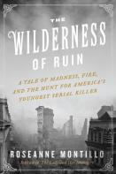 The Wilderness Of Ruin