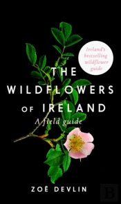 The Wildflowers Of Ireland