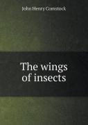 The Wings Of Insects