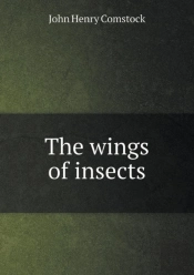 The Wings Of Insects