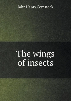 Bertrand.pt - The Wings Of Insects