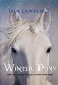 The Winter Pony