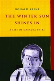 The Winter Sun Shines In
