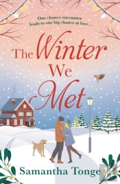 The Winter We Met