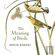 The Wisdom Of Birds
