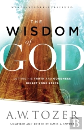 The Wisdom Of God Â€“ Letting His Truth And Goodness Direct Your Steps