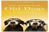 The Wisdom Of Old Dogs