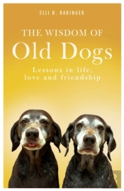 The Wisdom Of Old Dogs