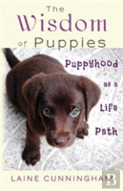 The Wisdom Of Puppies