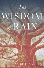 The Wisdom Of Rain