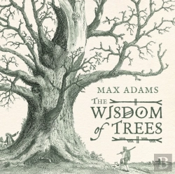 Bertrand.pt - The Wisdom Of Trees