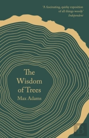 The Wisdom Of Trees