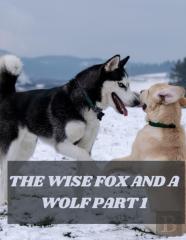 The Wise Fox And A Wolf Part 1