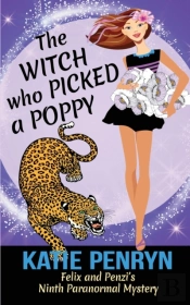 The Witch Who Picked A Poppy: Felix And