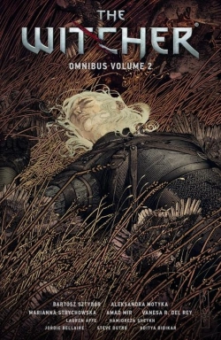 Bertrand.pt - The Witcher Omnibus Volume 2