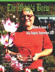 The Witch'S Brew, Vol. 9 Issue 3