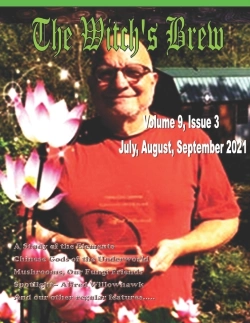 Bertrand.pt - The Witch'S Brew, Vol. 9 Issue 3