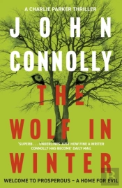 The Wolf In Winter