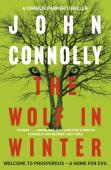 The Wolf In Winter