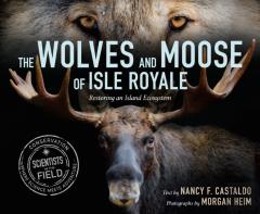 The Wolves And Moose Of Isle Royale