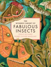The Wonder Cabinet Of Fabulous Insects