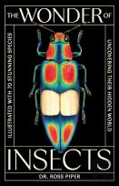 The Wonder Of Insects: Uncovering Their Hidden World