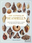 The Wonder Of Seashells