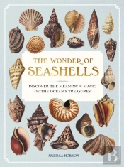 The Wonder Of Seashells