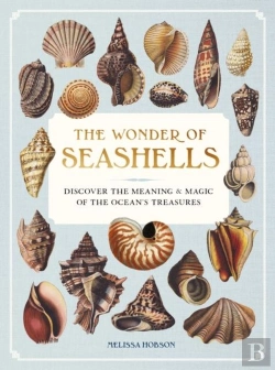 Bertrand.pt - The Wonder Of Seashells