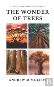 The Wonder Of Trees