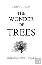 The Wonder Of Trees