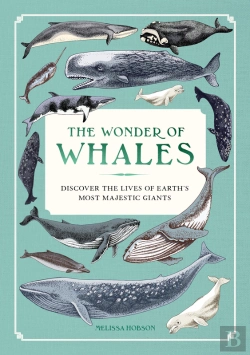 Bertrand.pt - The Wonder Of Whales